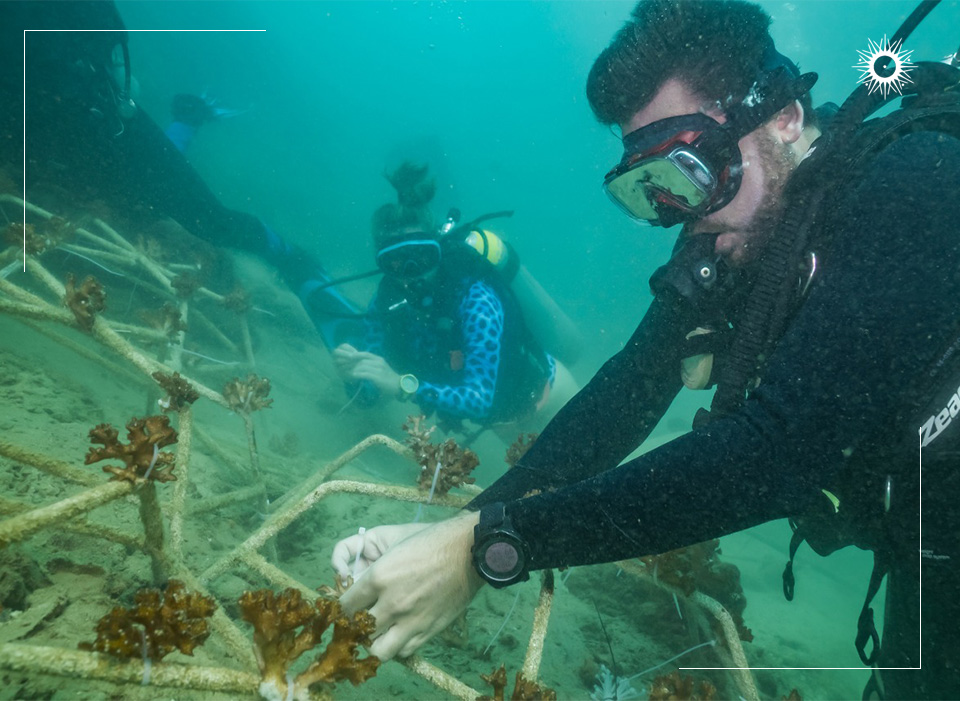 Böëna Funds ‘Raising Coral’ Project 
to Restore Health of Costa Rican Reefs