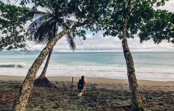 Wildlife experience in Corcovado National Park