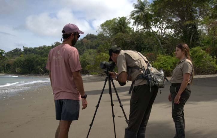 Matapalo Walk at Lapa Rios Lodge