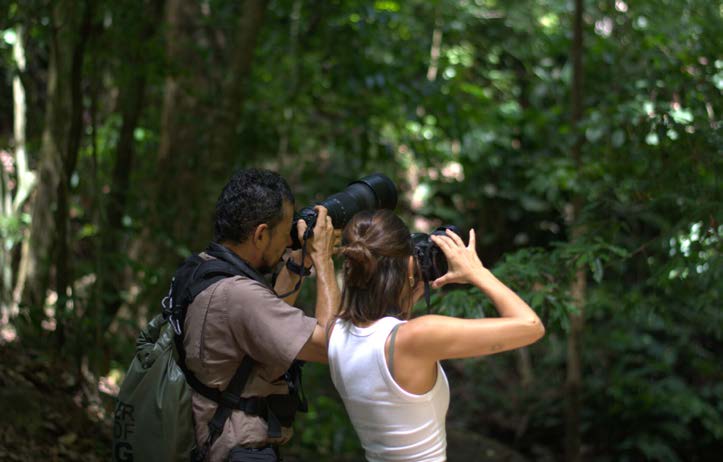 Wildlife photography in the Osa rainforest