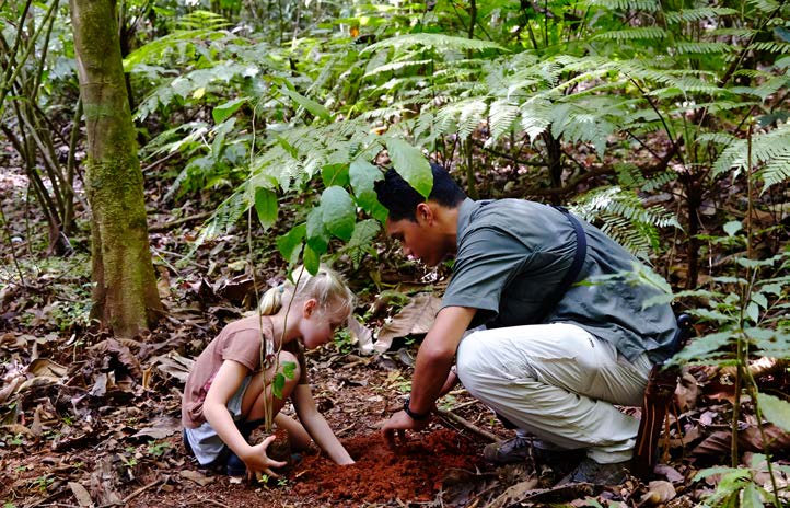Plant a Tree experience at Lapa Rios Lodge