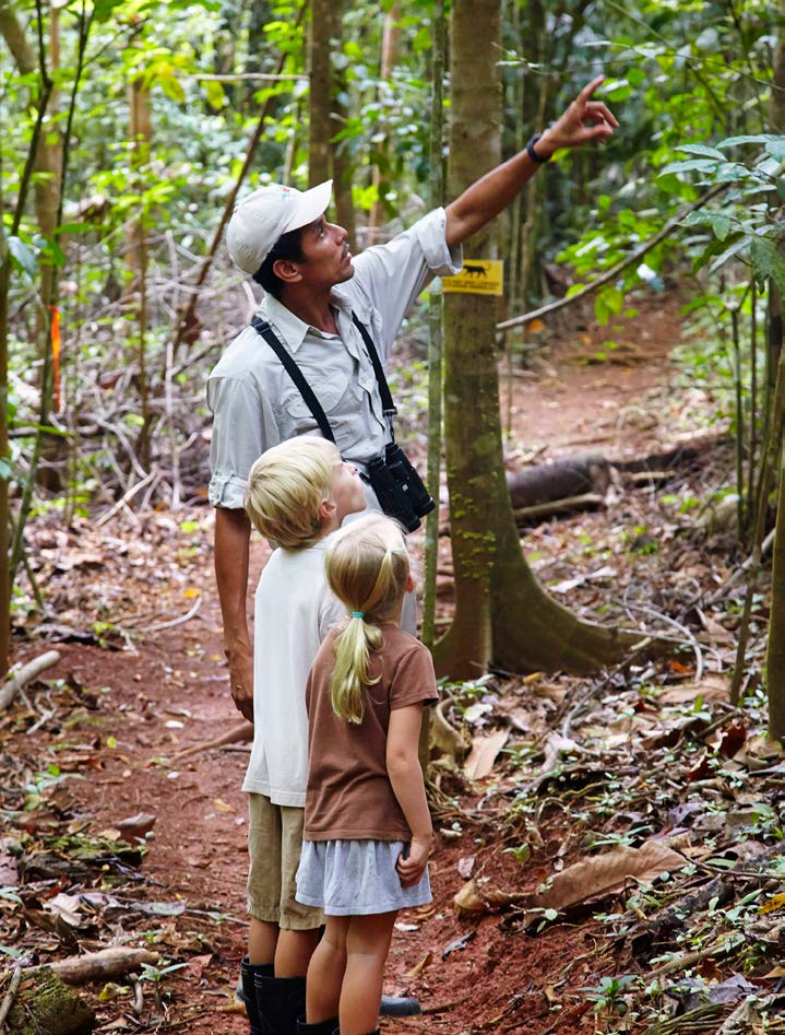 Plants of the Osa experience at Lapa Rios Lodge