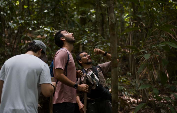 Rainforest Ridge Hike at Lapa Rios Lodge