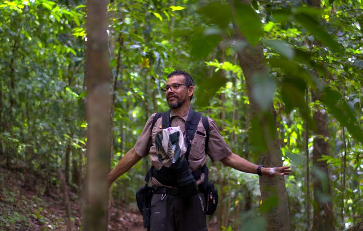 Rainforest Ridge Hike in the Osa Peninsula