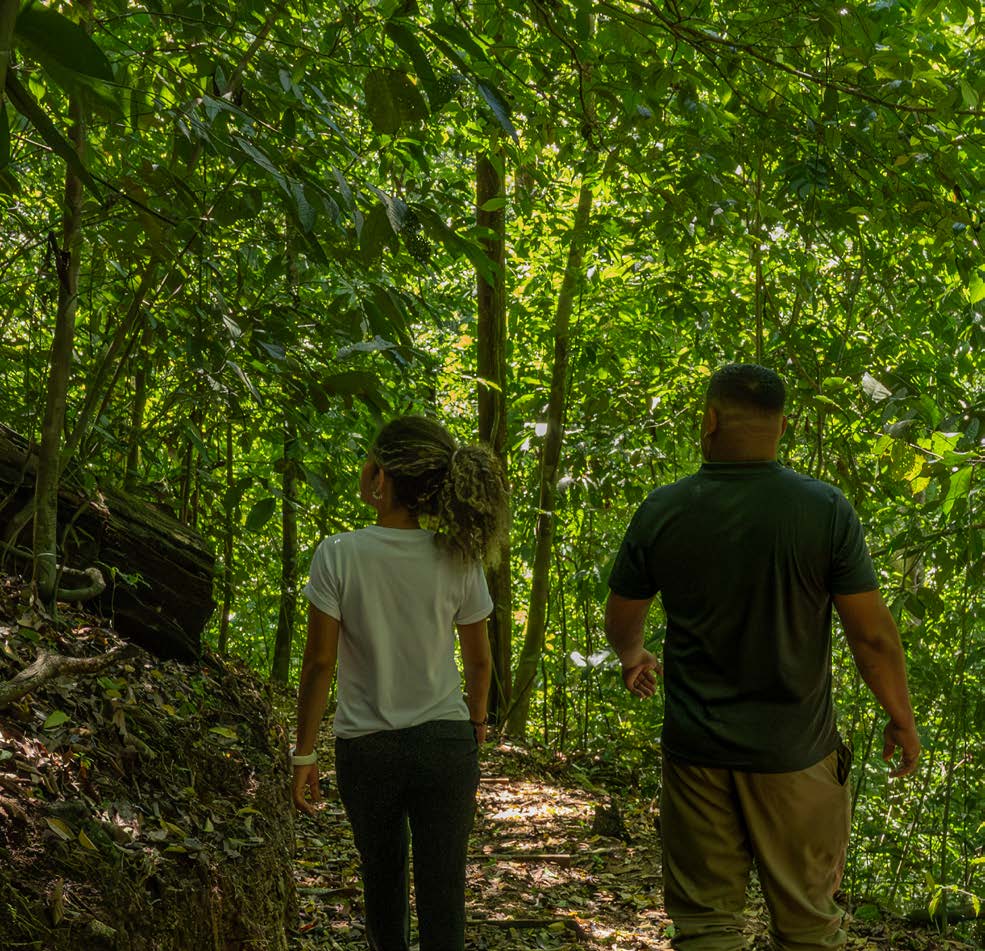 Rainforest trail at Lapa Rios Lodge in the Osa Peninsula