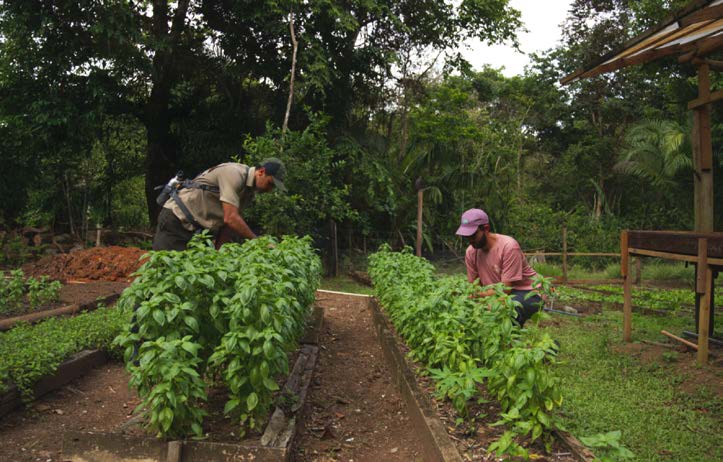 Regenerative hospitality and sustainability at Lapa Rios Lodge