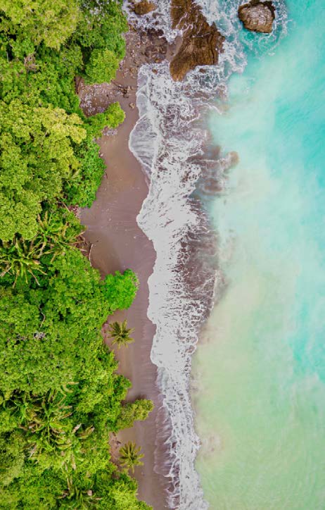 Pacific beach experience at Lapa Rios Lodge