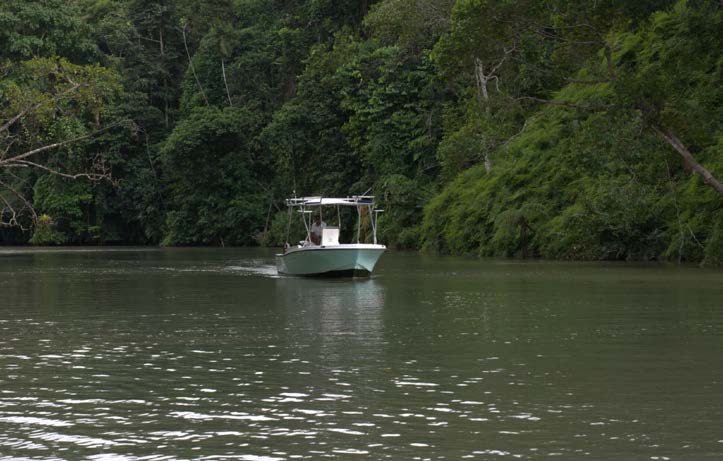 Golfo Dulce Boat Tour