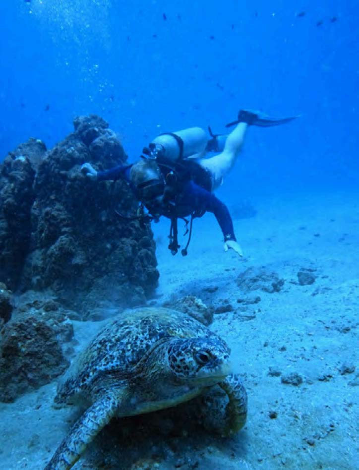 Scuba Diving in Caño Island