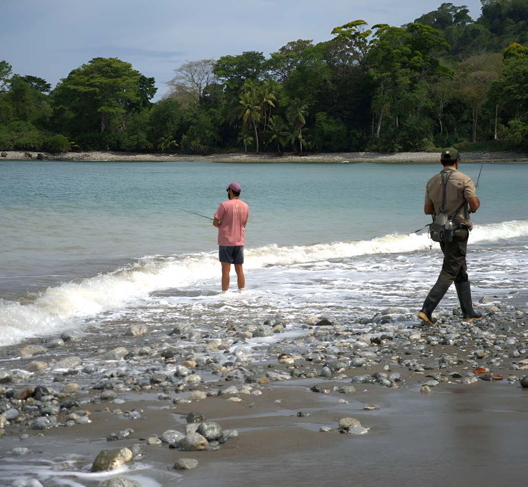 Shoreline Artisanal Fishing