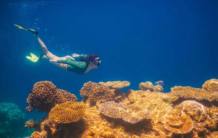 Snorkeling in Caño Island