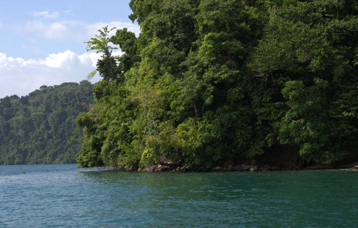 Fishing experience off the Osa Peninsula